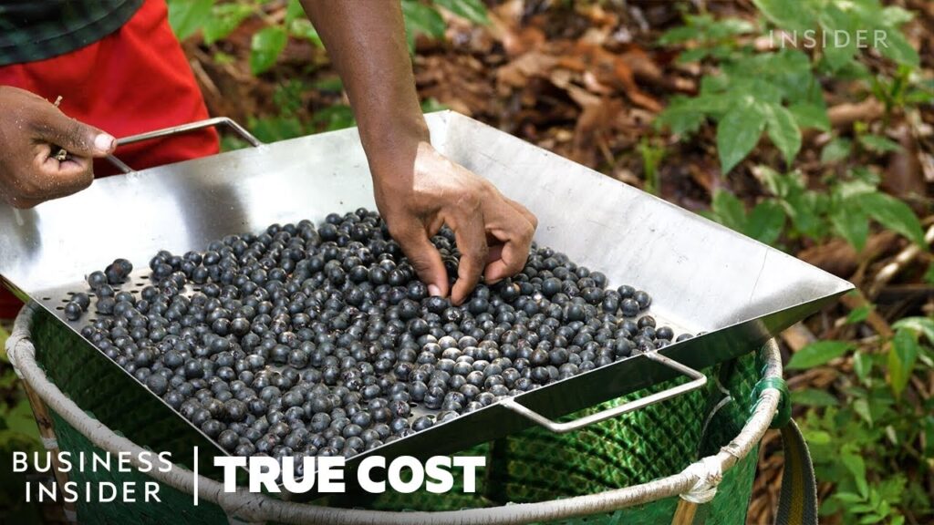 Why People Risk Their Lives To Harvest Açaí 