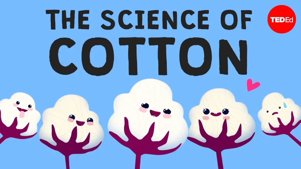 Why is cotton in everything? 