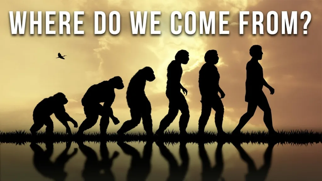 Human Evolution: The Complete Story Of Our Existence